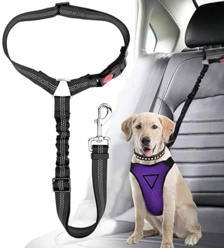 SoftcuteLee Ceinture de sécurité pour chien - Laisse réglable - Laisse solide pour tout véhicule - Pour animaux de compagnie, chats, chiens - Noir