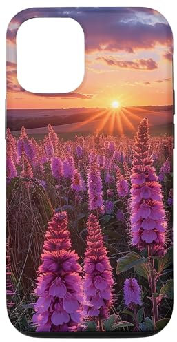 iPhone 15 Pro Anise Hyssop Flower Field Beautiful Sunset Graphic Case