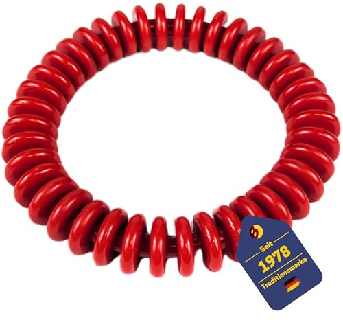 Best Sporting dykringar för barn 14 cm I barndykringar, perfekt för sjöhästar etc. I Dykleksak för barn I dykringar för barn set I dykring barn (lameller röd)