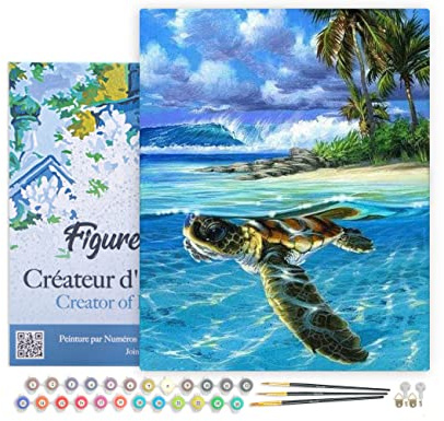Figured'Art Peinture par Numéro Adulte avec Cadre Tortue détendue - Activité Manuelle Kit de Loisir Créatif DIY Numéro d'Art Complet - 40x50cm toile tendue sur châssis