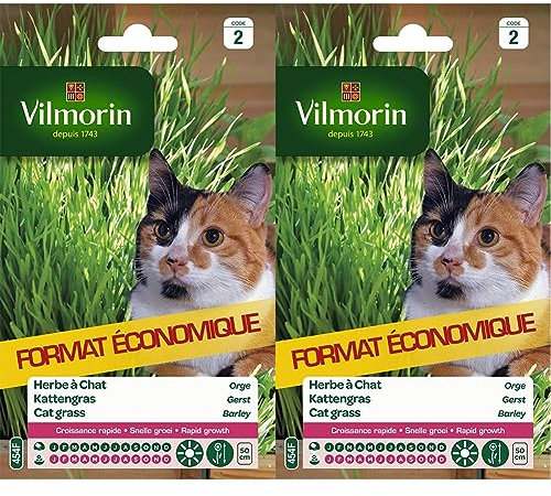 Vilmorin 5876839 Herbe à Chat orge, Vert, 11 x 1.5 x 19 cm (Lot de 2)
