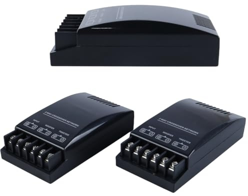 Durlo Crossover elettronico 2 pezzi, reti di crossover passivi audio per auto a 2 vie, strumento di amplificazione del suono