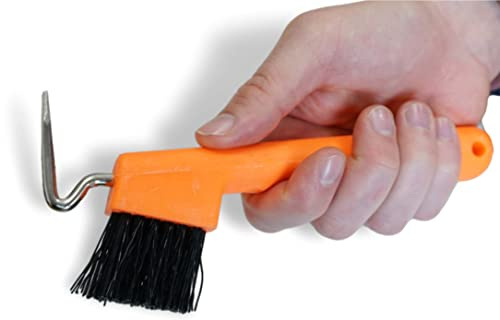 Raschietto per cavalli, asini, capre, zoccolo con spazzola extra stabile e impugnatura ergonomica (arancione fluo (2 pezzi)