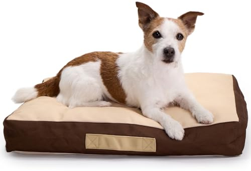 Rawry Orthopedic Dog Bed, Memory Foam Bed for Cats & Dogs, Small 24 x 18 in