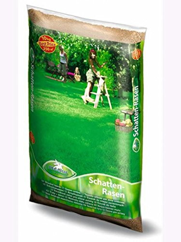 Rasenmischung Pegasus Schattenrasen 10kg