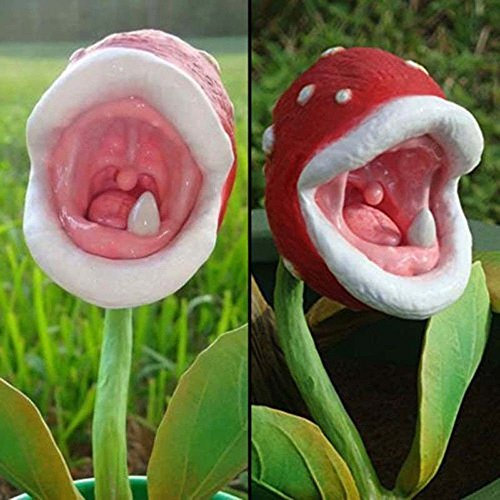 Rosepoem Insekten fangen Pflanzensamen Blume wie ein Schwan Eine Tüte mit Insect Catch Seeds 150 Stück