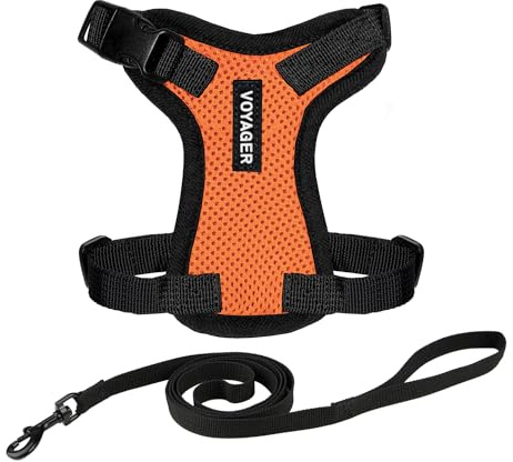 Voyager Step-in Lock hundsele med reflekterande hundkoppel kombo set med neoprenhandtag 1,5 m – stöder små, medelstora och stora raser katter av Best Pet Supplies – orange/svart kant, XS