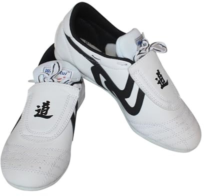 SXTYYH Chaussures De Karaté for Hommes Et Femmes Respirantes Kung Fu Chaussures De Tai Chi Arts Martiaux Chaussures De Taekwondo Souples Semelle Antidérapante(38EU)