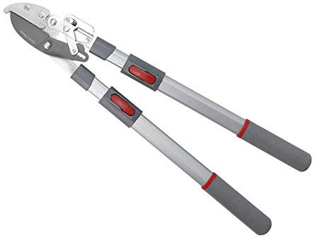 Kent and Stowe Telescopic Ratchet Anvil Loppers