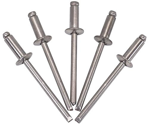 SKIR'CO Paquete de 100 remaches ciegos de acero inoxidable de 4 x 10 mm, cabeza de cúpula, remaches pop, DIN 7337, remache A2 (100, 4 x 10 mm)