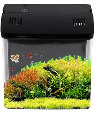 Protoence Aquarium De Bureau | Aquarium Nano avec Filtration Intégrée,Décoration D'intérieur pour Bureau Salon Table, Maison Décoration