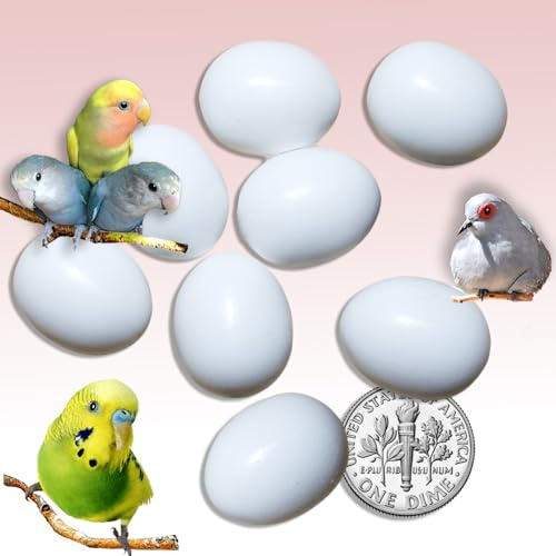 Budgie Dummy Bird Eggs Stop Brooding Laying! Tricks Your Bird Everytime! 7 Solid Plastic Fake Eggs Parakeet, Parrotlet, Dia Dove DummyEggs USA