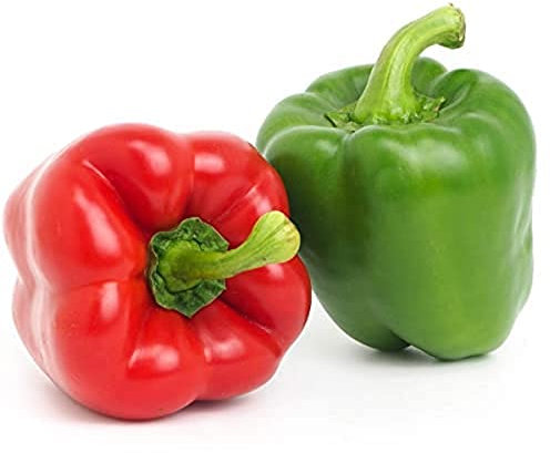 Sweet Pepper Plants, 'Bellboy', 4 x Plug Plant Pack, Vegetable Plants, Bell Peppers, Sweet Peppers, Red Pepper, Garden Ready and Ready to Plant, Premium Quality Vegetables
