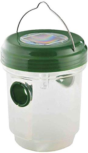 Piège à Insectes - Solaire