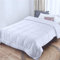 Threads For Bed® Leichte Sommerdecke 135x200 cm - dünne Bettdecke Steppdecke für den Sommer, Pflegeleichte Ultra Weiche Ganzjährige Steppdecke, Füllgewicht: 200 g/㎡