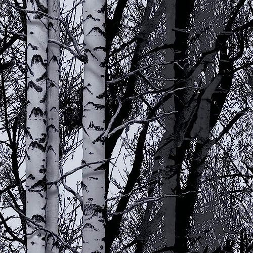 d-c-fix Vinyl wrap Wood Patterned 45 cm x 2 m - Sticky Back Plastic roll for Furniture, Kitchen & cupboards - Contact Paper Sticker self Adhesive Film