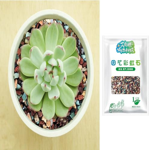 Kasmole 500 G Piedras Pequeñas para Macetas - Piedras Volcánicas Naturales para Macetas - Macetas para Decoración, Tierra para Drenaje De Plantas para Jardín Suculentas Cactus
