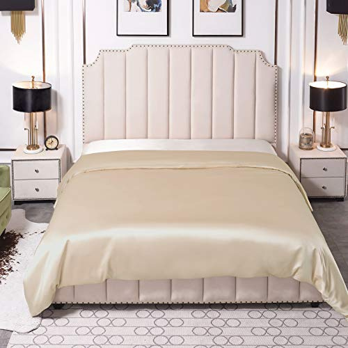 THXSILK 25 Momme Seide Bettbezug aus 100% Natürlich Maulbeer Seidenbettwäsche Bettbezüge, 140x200, Champagner