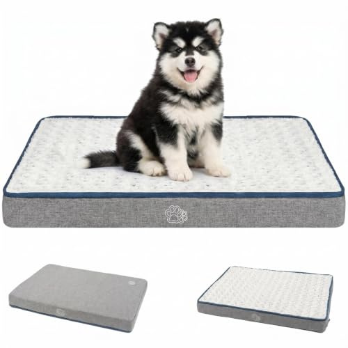 EMPSIGN Lit réversible frais et chaud pour coussin de cage, lit pour animaux domestiques avec housse lavable et amovible, tapis de couchage pour chiens de petite, moyenne et grande taille, gris