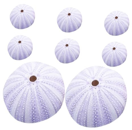 Kichvoe 8pièces Coquilles Oursin Naturel pour Décoration Aquarium Ornements Plage Remplissage Vase Loisirs Créatifs