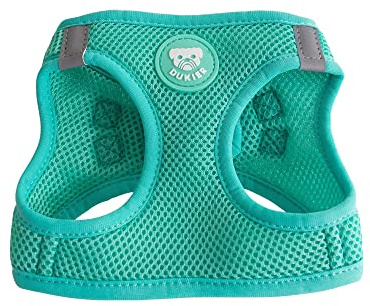 DUKIER - Arnés de Cuerpo para Perro, Chaleco Body Antirones, Ajustable y Resistente para Mascotas, de Malla Transpirable, Accesorio para Mascotas con Velcro y Doble Cierre, Color Mint, Talla M