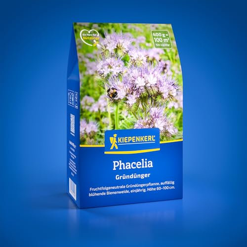 Kiepenkerl Phacelia 1081200 - fruchtfolgeneutraler Gründünger - auffällig blühende Bienenweide - circa 60-100cm - Gründünger, Bodenlockerung, Bodenverbesserer
