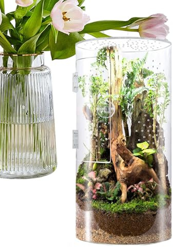 Jumping Spider Enclosure - Hábitat de araña acrílica transparente, terrario de animales pequeños, tanque seguro bien ventilado con tapa de bloqueo, puerta de fácil acceso, ideal para arañas saltarinas