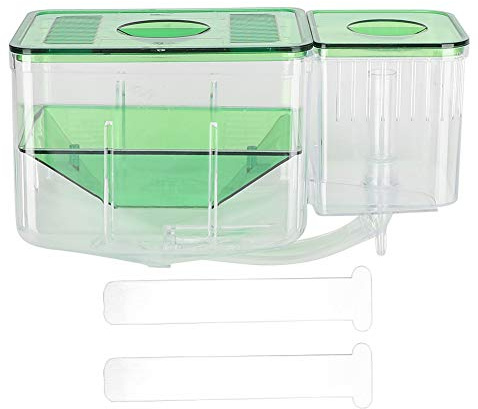Pssopp Liten Fiskinkubator, Little Fish Aquarium Uppfödare Akrylisoleringslåda för Baby Fiskräka, Skyddad Nyfödd Fisk Dubbellager Hatchery