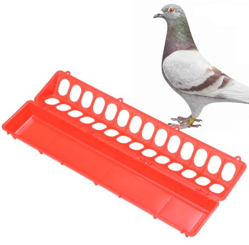 ORFOFE Distributeur Nourriture Poule Mangeoire pour Poules Fente pour Pigeons Oiseaux Perroquets Récipient pour Animalerie