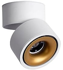 IOEDHW Faretto da soffitto a LED per Interni Nordico Faretto da Incasso orientabile a Montaggio Superficiale Faretto da Incasso a soffitto a Risparmio energetico Faretti da soffitto in Alluminio