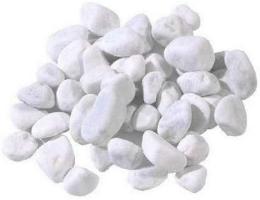 LE AMAZZONI STORE Ciottoli Marmo Bianco Carrara 15/25mm - 10KG Sacco | Sassi Decorativi Giardino, Orto, Vasi, Acquari | Pietre Decorative Bianche per Esterno/Interno