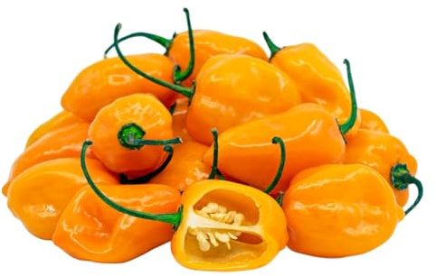 Semi Peperoncino Habanero Orange, Piccantezza Alta, Origine Caraibi, peperone piccante, Peperone piccante,150 Semi, per Coltivazione in Vaso, Balcone, Giardino, Orto