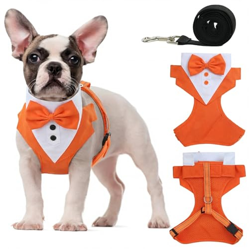 OUOBOB Tuxedo Harnais pour chien avec laisse anti-traction pour chien, harnais formel avec nœud papillon pour mariage, gilet de smoking en maille respirante pour chiens de petite et moyenne taille