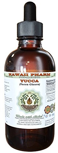 Hawaii Pharm Yucca Alcohol-Free Liquid Extract, Yucca (Yucca Glauca) Dried Root Glycerite Natural Herbal Supplement, USA 2 fl.oz