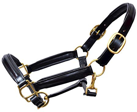 Aces Equine LEATHER HORSE HEADCOLLAR HALTER FULLY RAISED AND PADDED BLACK COLOR BRASS FITTING (X-FULL)
