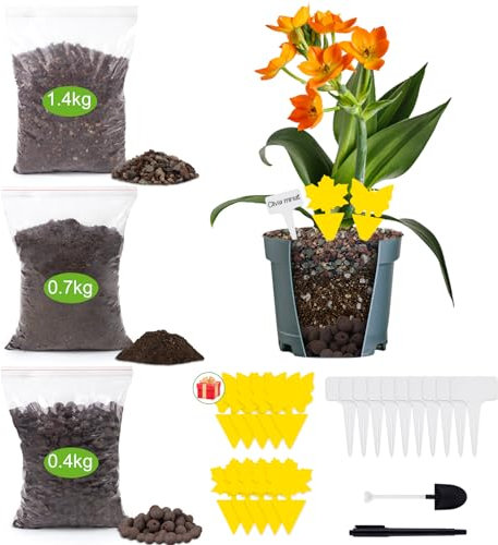 Insgesamt 2.5kg Zimmerpflanzen-1.4kg ErdeBlähton Gebrochen (3-6mm), 0.4kg Blähton - Grobkörniges Tongranulat für Zimmerpflanzen (10-20mm), 0.7kg Blumenerde Substrat und Anzuchterde für Samen MEHRWEG