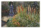 REDCHAMBER Poster mit französischem Maler Claude Monet Gladiolen, Wandkunst, Poster, Drucke, Heimdekoration, Bild, Leinwand, Malerei, Poster, 30 x 45 cm
