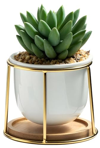 NASILDIN Floating Small Succulent Pots - Breathable & Water-Draining with Tray, 3.7 Inch Modern Indoor Desktop Decorative Ceramic Planter, Cactus Pots (White 2)