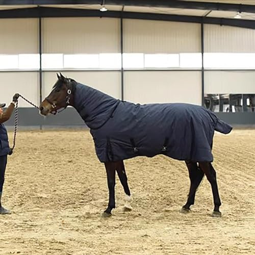 MaJu Staccabile A Collo Alto Paddock Coperta Paddock Coperte Cavallo Tappeti 300g Riempitivo Caldo E Impermeabile,Blu(Size:135cm)