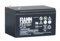 PIOMBO BATTERIE 12V 12AH 12AH FG21201