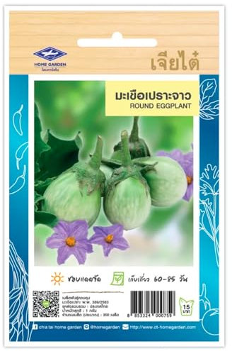 Aubergine Thaï, Round Eggplant, Graines de légumes – Sachet de 200 Graines, Aubergines Thaïlandais CHIA TAI