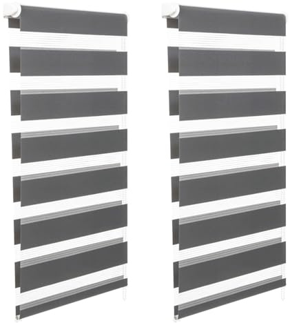 IDMarket - Lot de 2 Stores enrouleurs zébrés Jour Nuit l.55 x H. Max 170 CM Gris