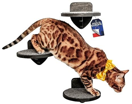 RshPets® Kletterwand Katzen - Set von 3 Katzentreppen - Katzenleiter - Katzen Wandelemente - Runde Stufen für Katze - Durchmesser 20 cm (Dunkle Farbe)