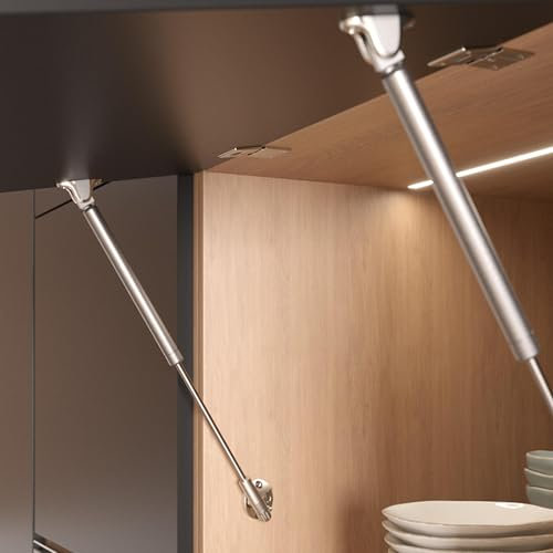 Pistone a Gas KRABY rialza Originale Italiana Ferramenta LIVENZA– Asta FRIZIONATA L.164, 244, 355, 480 per Ante Cucina e Living – Ammortizzatore per Mobili e Pensili Lift up spring (L.164 mm 45N)