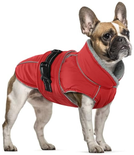 Hundejacke Mittelgroße Hunde, Hundejacke Wasserdicht Hundemantel Fleece Hundepullover Mittelgroße Hunde Winter Warme Hundebekleidung(Rot, M)