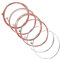 WJRQD Guitar Strings, Gitarrensaiten, Premium Durable Steel Strings für Westerngitarre, Klassik-, Konzert- und Akustikgitarren - 6 Saiten Set für perfekten Klang und Spielkomfort.