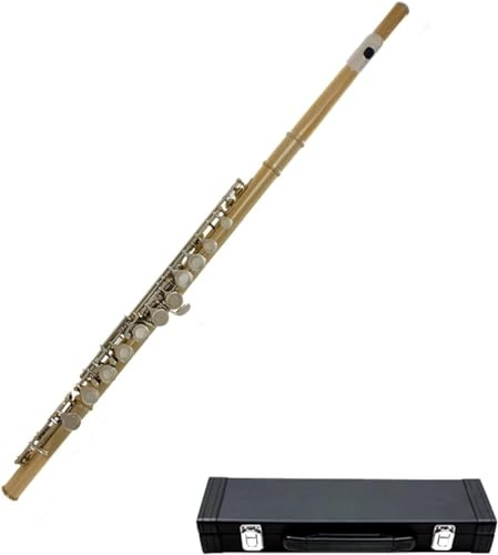 LABLADUO Flöjter, Flöjter Musikinstrument Nickelpläterad C Tune 16-hålsflöjt Professionell Flöjt Vindinstrument Flöjt för Nybörjare Studenter