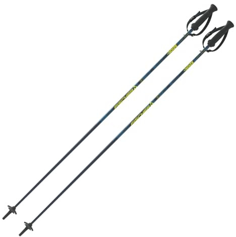 Skidstavar Fischer RC4 Noize – 120 cm – Alpin skidstavar – högkvalitativ skidstav i aluminium – Allmountain Piststav – unisex – ergonomiskt handtag – justerbar handledsrem