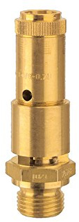 RIEGLER 104641-227.55-28,5 - Válvula de seguridad (DN 10, latón, G 1/2, presión de respuesta: 28,5 bar, 1 unidad