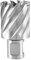Ruko HSS SE-Co Kernbohrer mit Weldon-Schaft 3/4 Zoll CBN Erde, glänzend, Durchmesser 34 mm, Länge 63 mm, R108234E